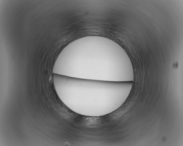 X0000096700089200802261615