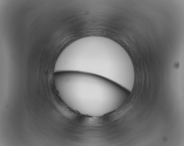 X0000096700092200802261615