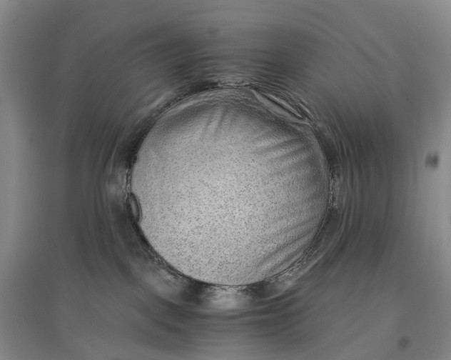 X0000096700093200802261615