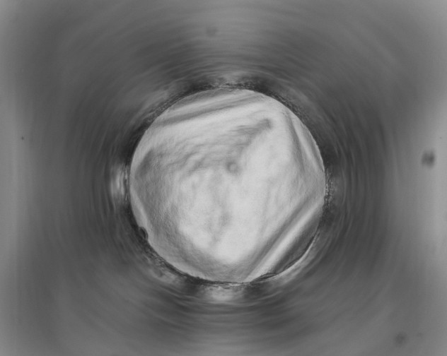X0000096700094200802261615