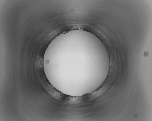 X0000096700096200802261615