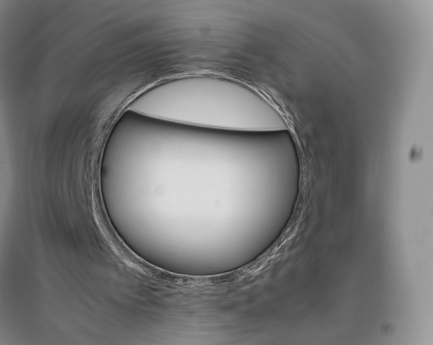 X0000096700097200802261615