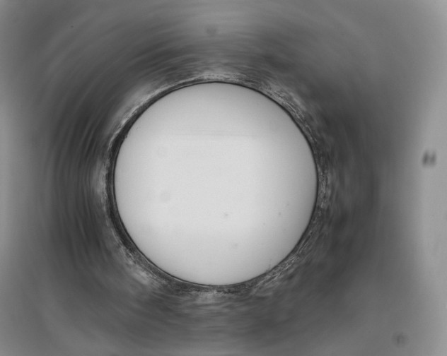 X0000096700098200802261615