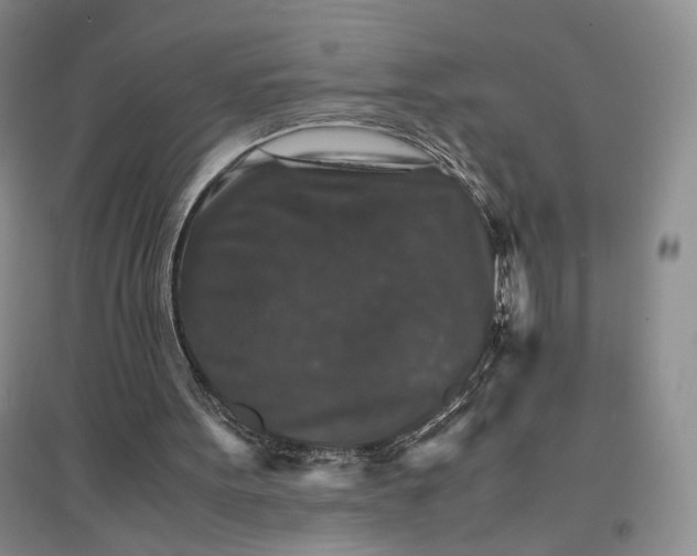 X0000096700099200802261614