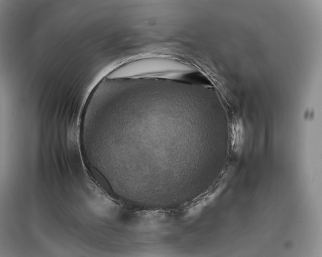 X0000096700100200802261614
