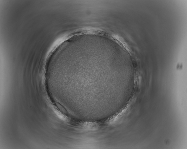 X0000096700101200802261614