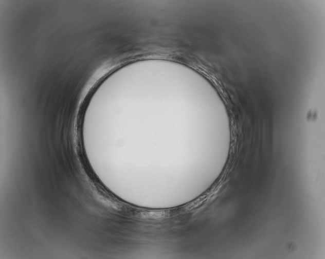 X0000096700102200802261614