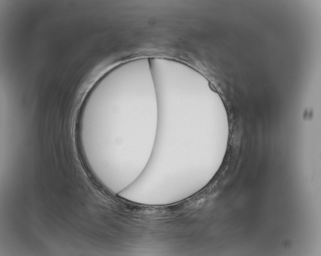 X0000096700103200802261614