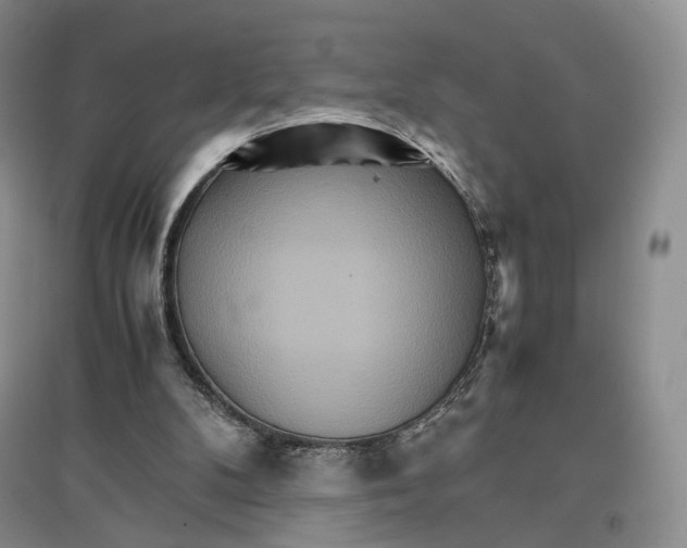 X0000096700104200802261614