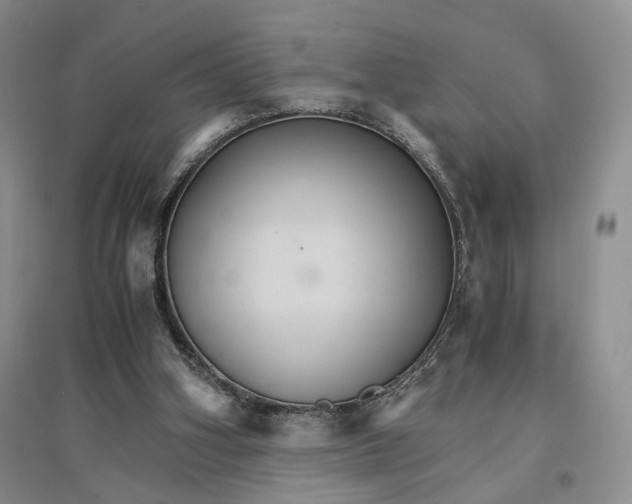 X0000096700106200802261614