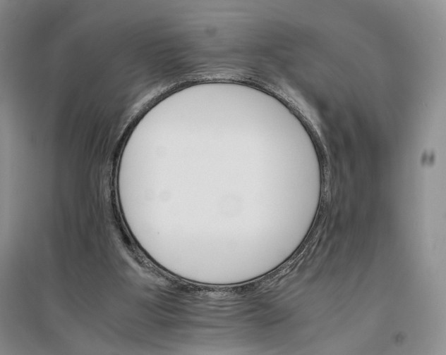 X0000096700107200802261614