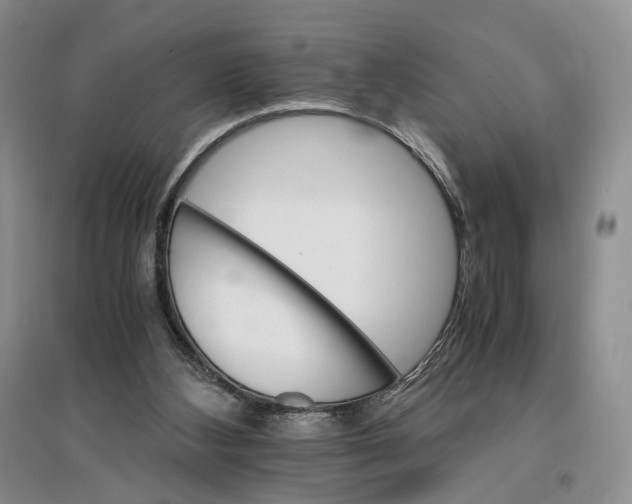 X0000096700108200802261614