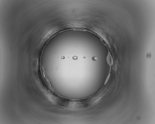 X0000096700109200802261614