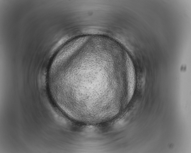 X0000096700111200802261614