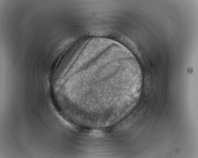 X0000096700114200802261614