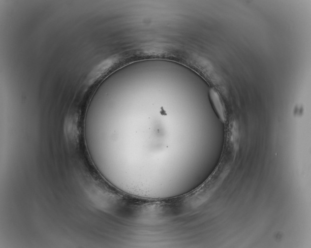 X0000096700116200802261614
