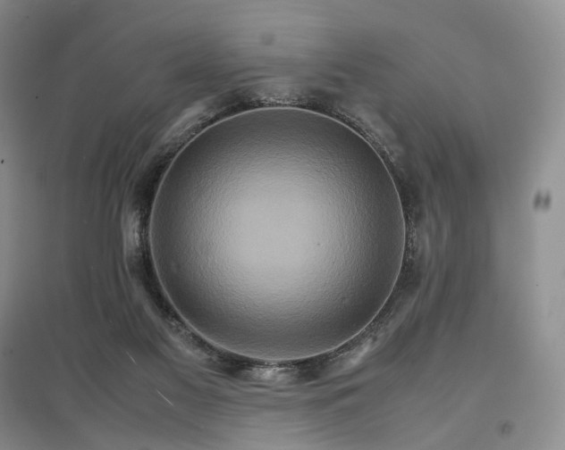 X0000096700117200802261614