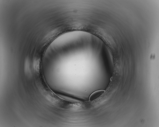 X0000096700118200802261614