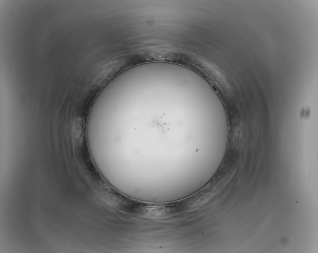 X0000096700121200802261614
