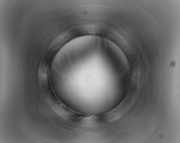 X0000096700122200802261614
