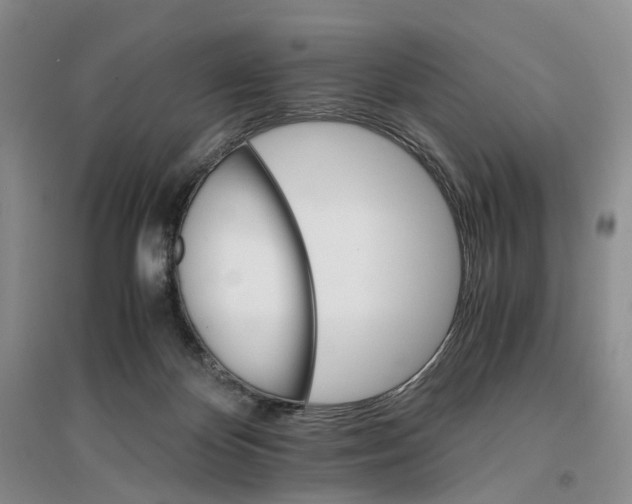 X0000096700124200802261614