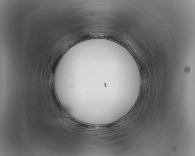 X0000096700125200802261614