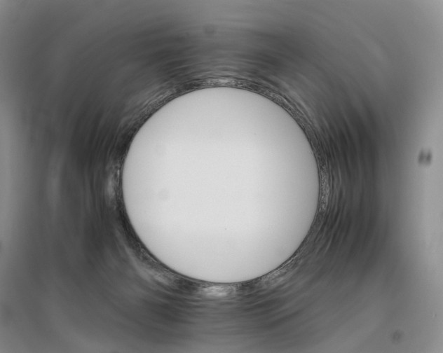 X0000096700126200802261614