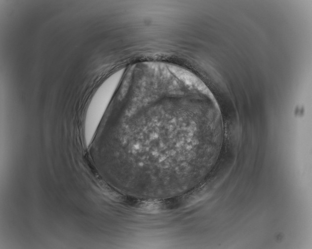 X0000096700127200802261614