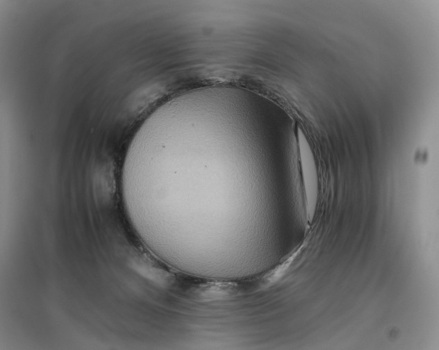 X0000096700128200802261614