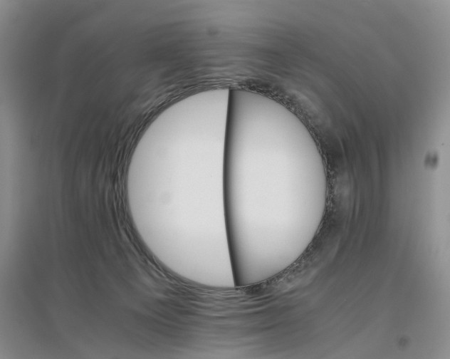X0000096700129200802261614