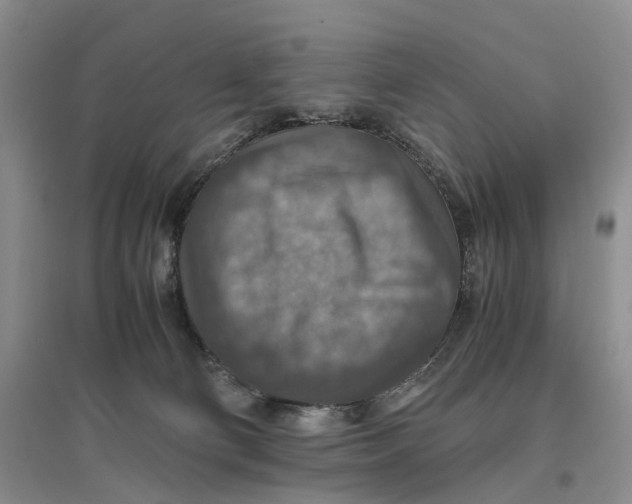 X0000096700130200802261614