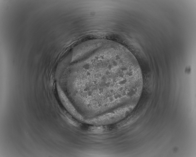 X0000096700131200802261614