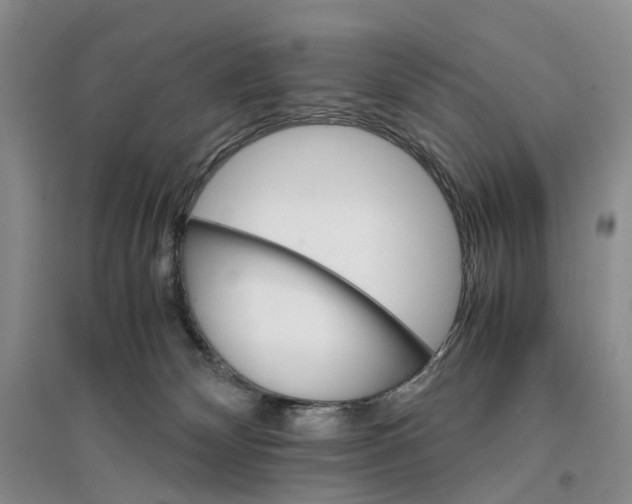 X0000096700132200802261614