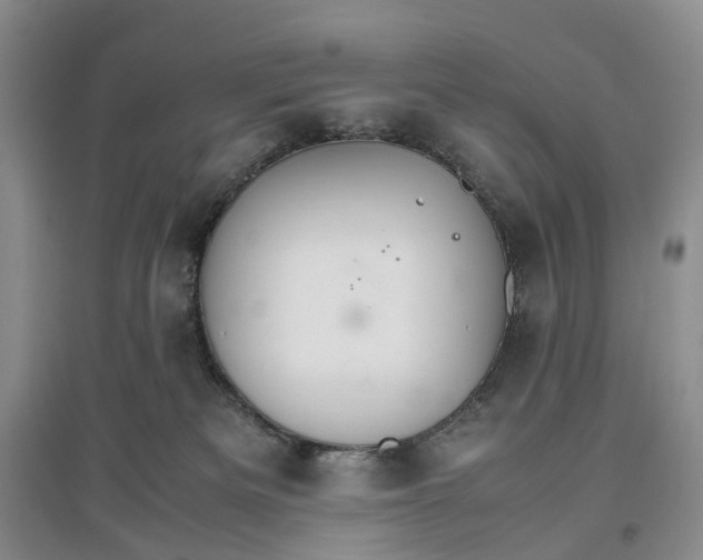 X0000096700133200802261614