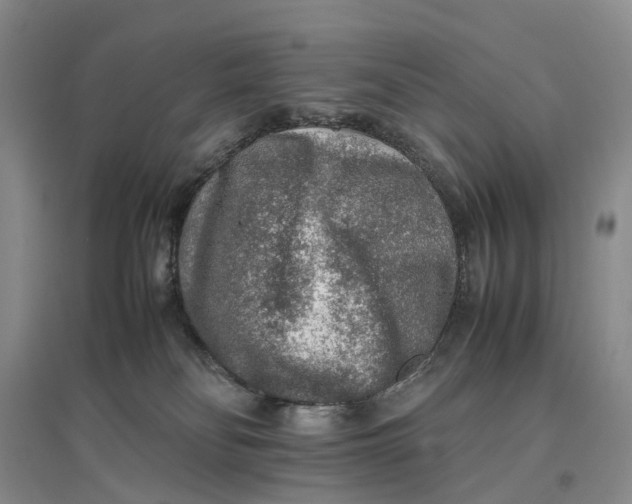 X0000096700134200802261614