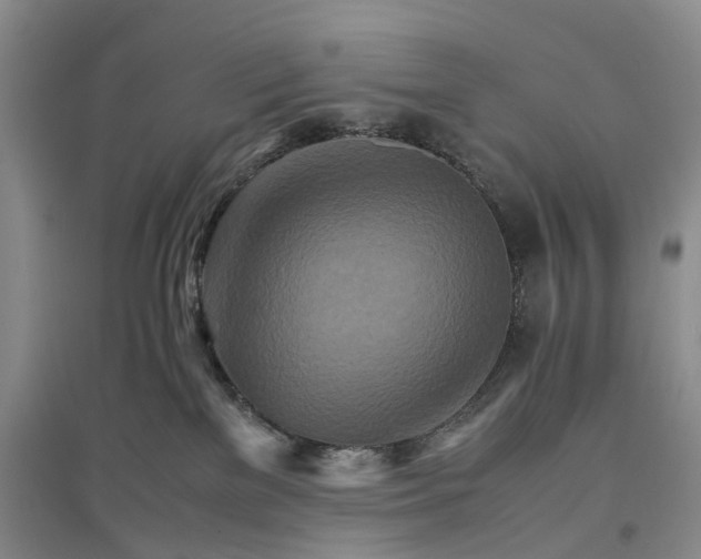 X0000096700137200802261614
