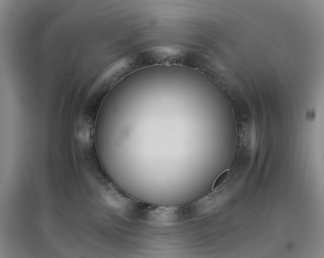 X0000096700138200802261614
