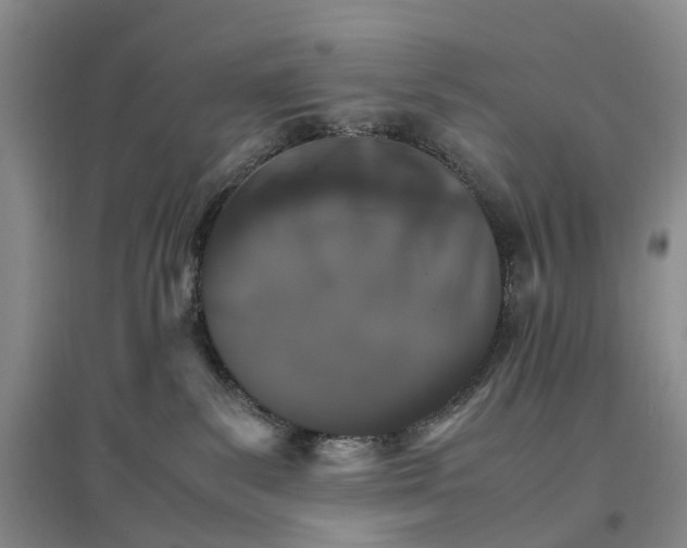 X0000096700139200802261614