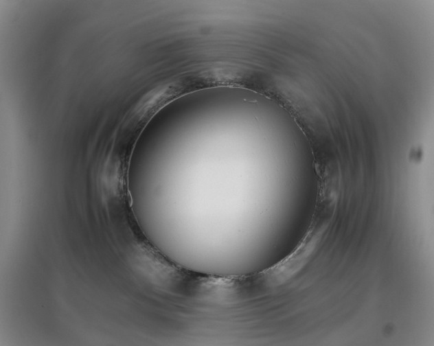 X0000096700140200802261614