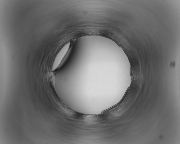 X0000096700141200802261614