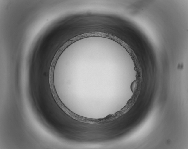 X0000096700143200802261614