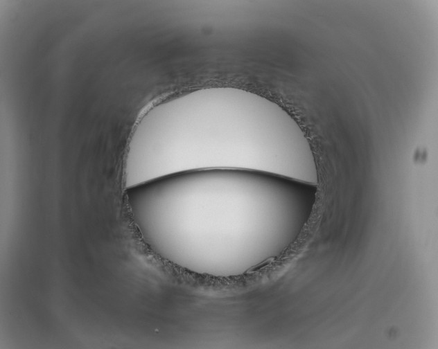X0000096700144200802261614