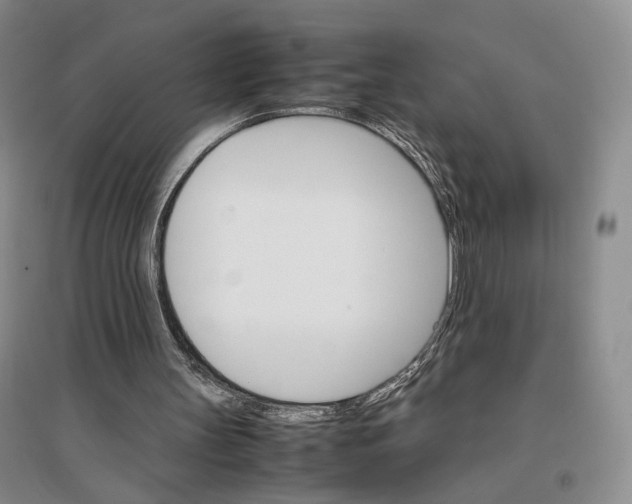 X0000096700147200802261613