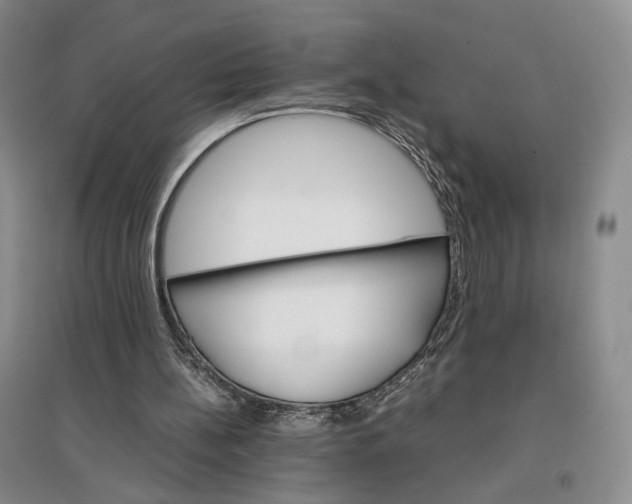 X0000096700148200802261613