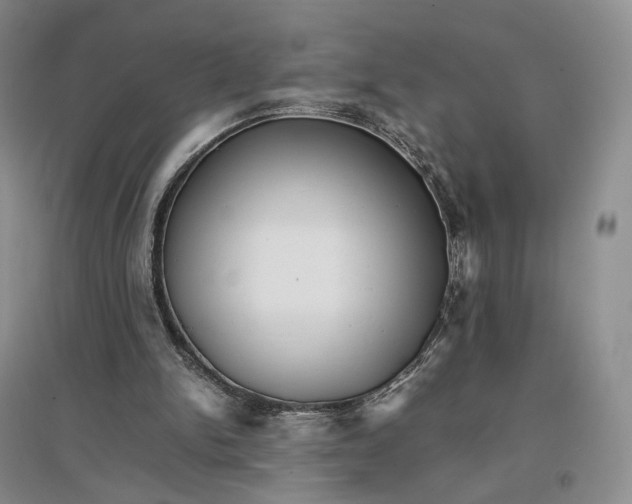 X0000096700150200802261613