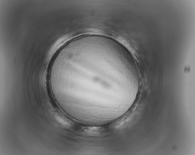 X0000096700151200802261613