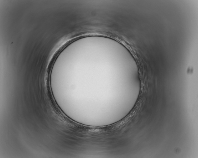 X0000096700152200802261613