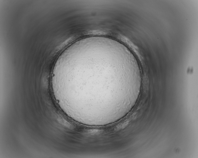 X0000096700153200802261613