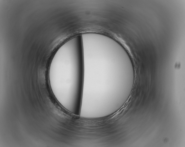 X0000096700154200802261613
