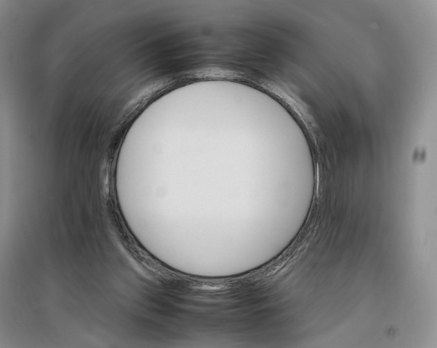 X0000096700157200802261613
